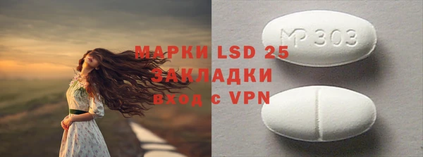 PSILOCYBIN Алзамай