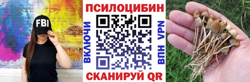 купить Амурск KRAKEN онион Псилоцибиновые грибы мухоморы