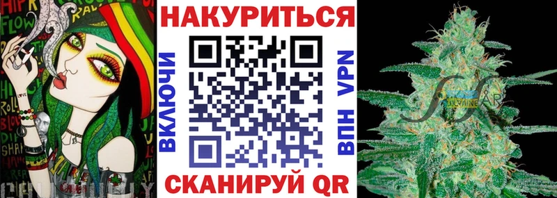 Бошки Шишки семена  продажа наркотиков  Амурск 